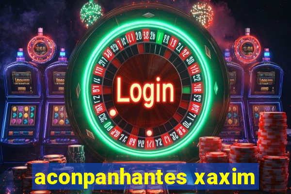 aconpanhantes xaxim